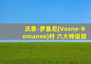 沃恩-罗曼尼(Vosne-Romanee)村 六大特级园